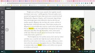 Everglades Domain Vocab