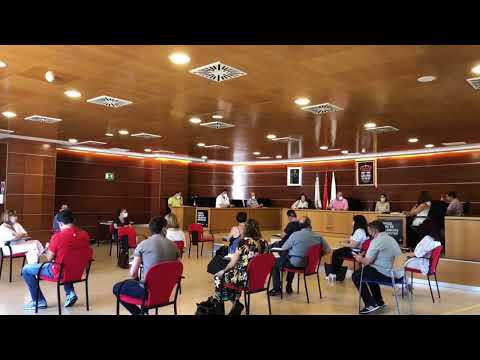 Pleno Ordinario do Concello de Culleredo de data 30 de xullo de 2020 ás 13:30h