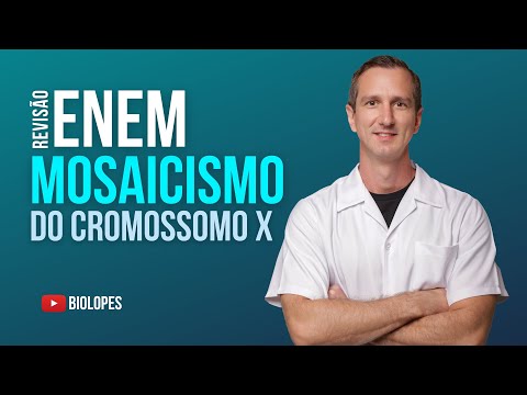 ENEM 2022 - Na figura está representado o mosaicismo em função da inativação de um dos cromossomos X