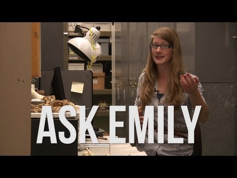 Ask Emily #1