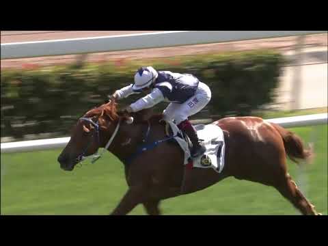 6/2/2021 (404) The Rock -  A Badel