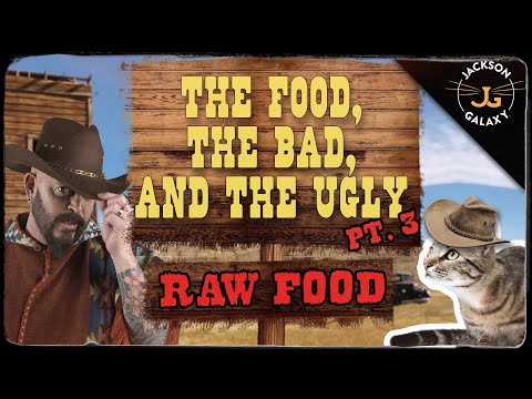 Cat Nutrition: The Food, The Bad, & The Ugly Part 3: Raw Food!