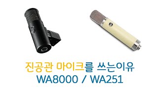 진공관 마이크를 사용하는 이유 Warm Audio WA-8000 / WA-251