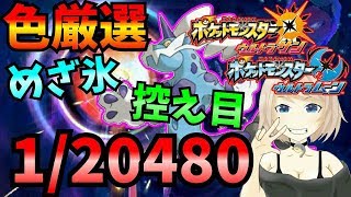 ポケモンUSUM ライブ】５周目 １１５回～ボルトロス厳選！！【ウルトラサンムーン