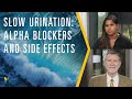 Slow Urination Alpha Blockers And Side Effects Mark Scholz MD PCRI