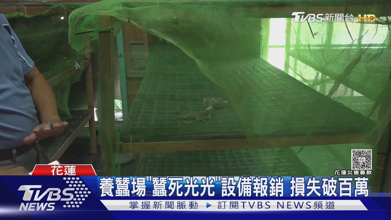 救災第16天!鳳林鎮長橋里「養蠶場、蓮霧園」仍陷淤泥