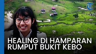 Healing dan Refreshing di Hamparan Rumput Luas di Bukit Kebo Balikpapan