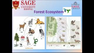 L-15 Ecosystem & Biomes || Environmental Studies and Disaster Management || Harsh Academic