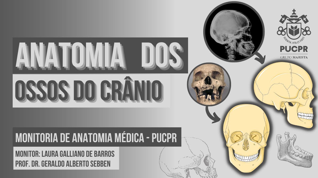Ossos do Crânio - Monitoria Anatomia Médica PUCPR