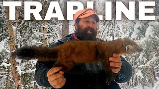 Wild Trapline: Episode 36