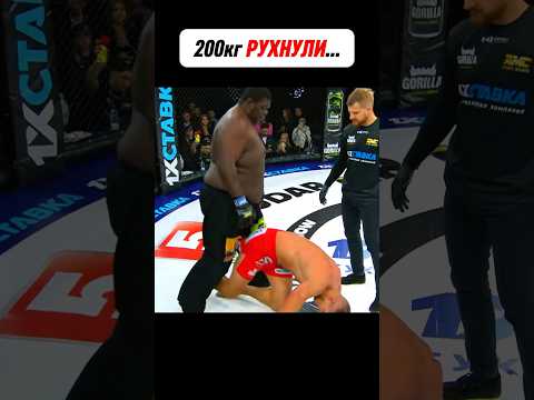 Из-за ОДНОЙ ОШИБКИ рефери - СЛУЧИЛСЯ НОКАУТ 😨 #shorts