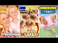 STRUiSVOGEL SAFARi & STRAND ONTDEKT TUSSEN DE LOCALS OP CURAÇAO ?? | Bellinga Vlog #3055