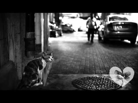 Communicaution - Thomas O'Malley (Aristocats Cover)