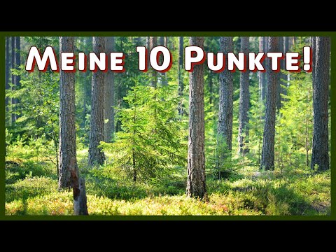 Wie wird die Forstwirtschaft NACHHALTIG?