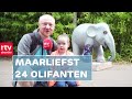 Emmen overspoelt met olifanten & Weg met de anderhalve meter | Drenthe Nu 25 september 2021