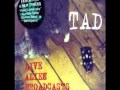 TAD (Stumblin' Man) Live
