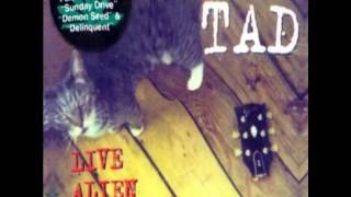 TAD (Stumblin' Man) Live