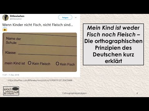 Mein Kind ist weder Fisch noch Fleisch – Orthographieprinzipien 🗨️ Sprachwissenschaft beispielhaft