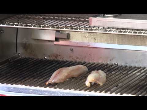 How to Make Barbecue Fish : In the Kitchen