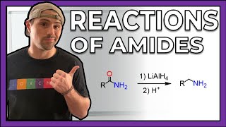 Reactions of Amides