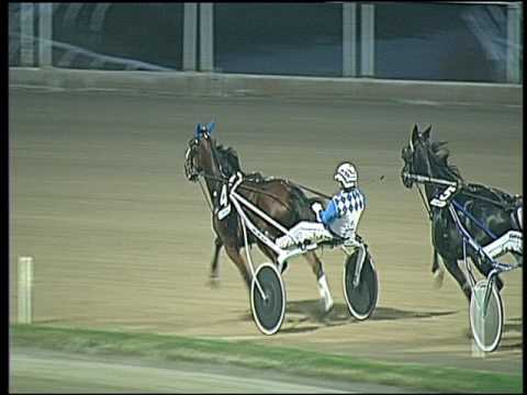 Trotto 04/11/2016 - 4ª corsa