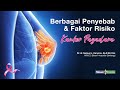Berbagai Penyebab & Faktor Risiko Kanker Payudara