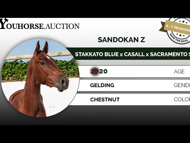 Sandokan Z
