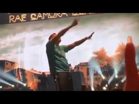 Bonez MC & RAF Camora Palmen aus Plastik 2 Tour Mannheim 2019 | kathi_681