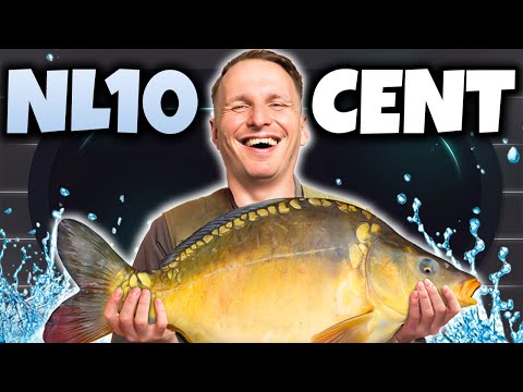 High Stakes Pro DESTROYS Micro Cash Games