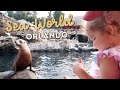 SEA WORLD WITH TODDLERS ️ Sesame Street Land Feeding Sea Lions All The Things KAYLA BUELL