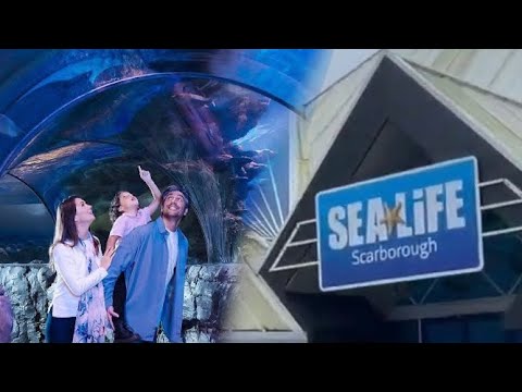 4k - Sea Life Scarborough (Full Walkthrough) 2024