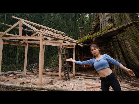 TIMELAPSE: Alone Girl Building an Off-Grid Forest Kitchen – 200 Days of Simple Living