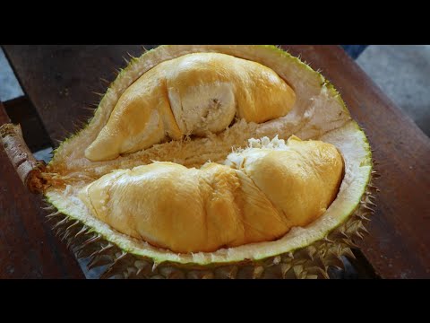 Balik Pulau, Penang : The Durian Lovers Paradise