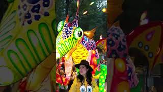 🤠Alebrijes Iluminados CDMX
