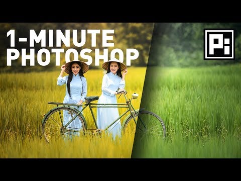 Apply the Golden Colors of Autumn | 1-Minute Photoshop (Ep. 3)