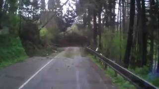 Trees Falling On Road
