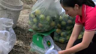 Phóng sự Đại hội đại biểu Đảng bộ xã Cư Prao lần thứ I, nhiệm kỳ 2025 - 2030