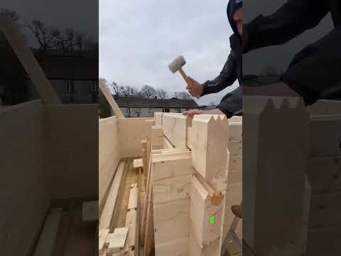 Log cabin building #buildingalogcabin #cabinbuilding #logcabin #cabin