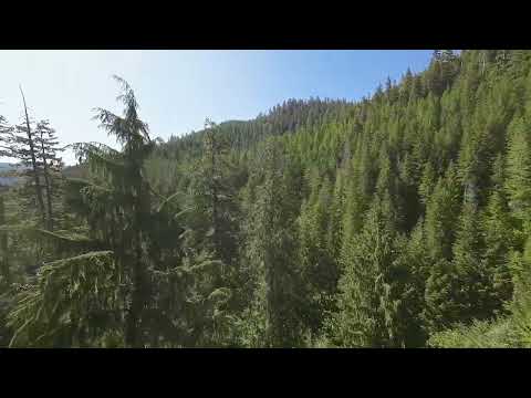 trevor-sheffield video