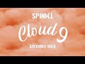 SPINALL Feat Adekunle Gold CLOUD 9 Lyric Video
