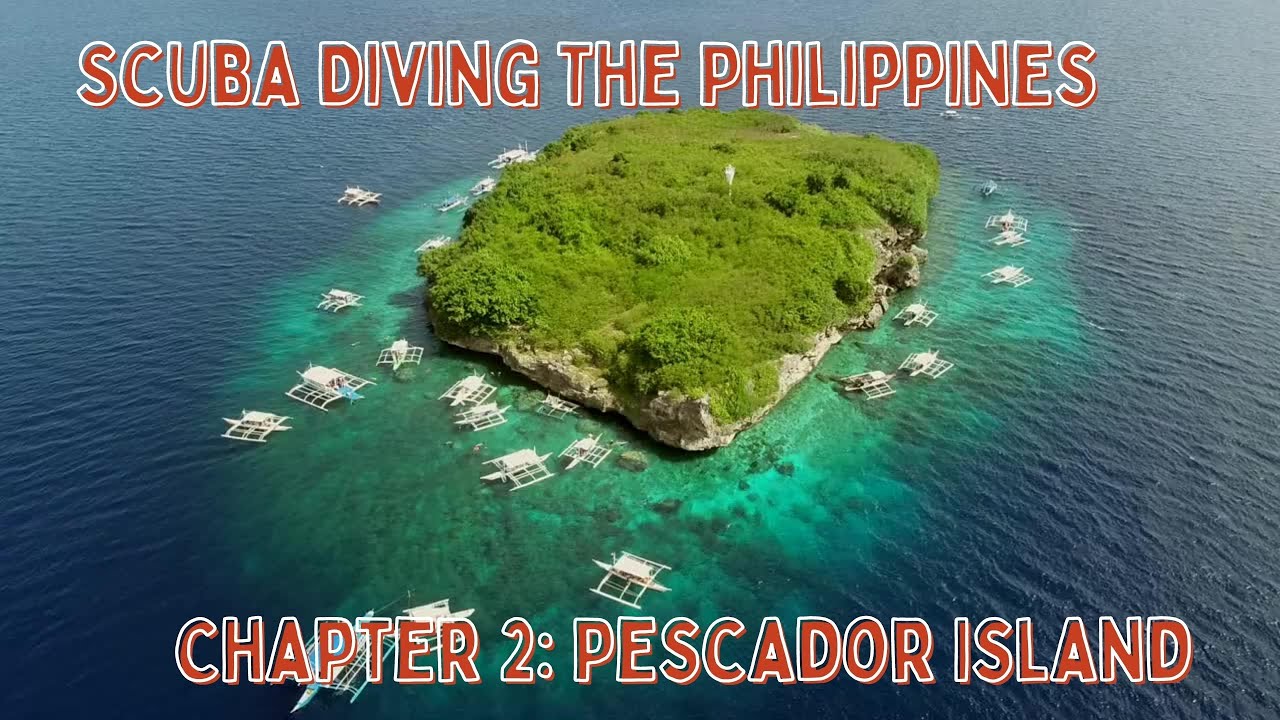 Embark on a virtual diving experience in the serene waters of Pescador Island.