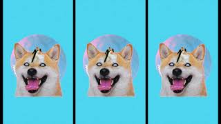 Trunky Juno – “Favourite Show”