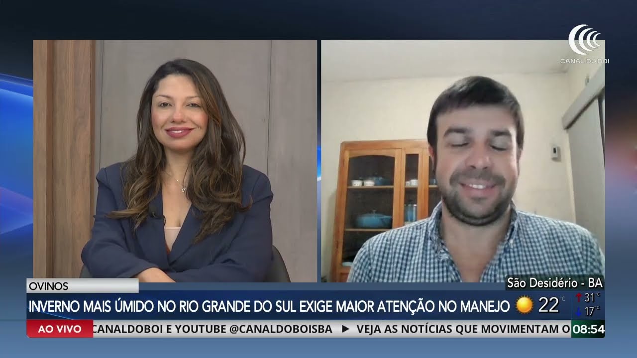 Inverno mais úmido no Rio Grande do Sul exige maior atenção no manejo com ovinos