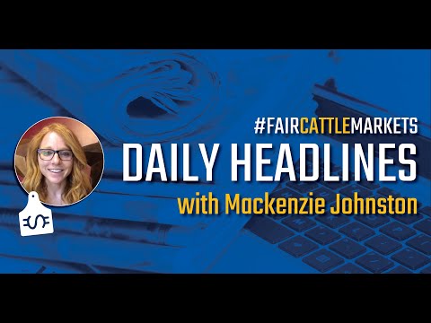 Current Cattle Market Daily Headlines for February...