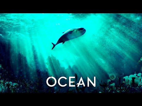 Amadea Music Productions - Motionless | Cinematic | Orchestral | Nature | Documentary