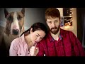 Youtubers Nikki and Dan Phillippi Take Their Dog's Life Over This...