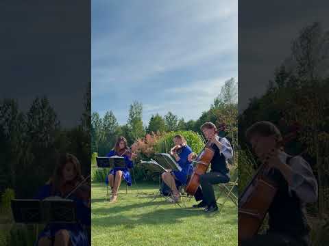 Styginių kvartetas/trio 4strings #3