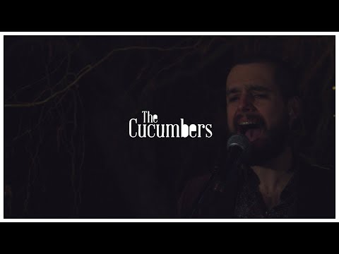 The Cucumbers - Ni Tú Ni Nadie (Live Session) | Novocaïne (for the Soul)