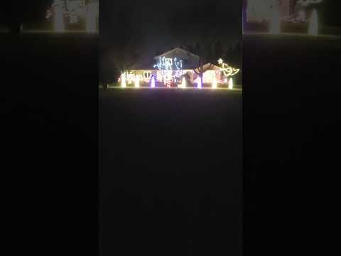 LOLOL Lots Of Lights On Lutz - Tso