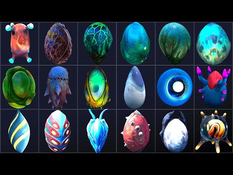 ALL CREATURE EGG in SUBNAUTICA and SUBNAUTICA BELOW ZERO Including Hatched Creature.